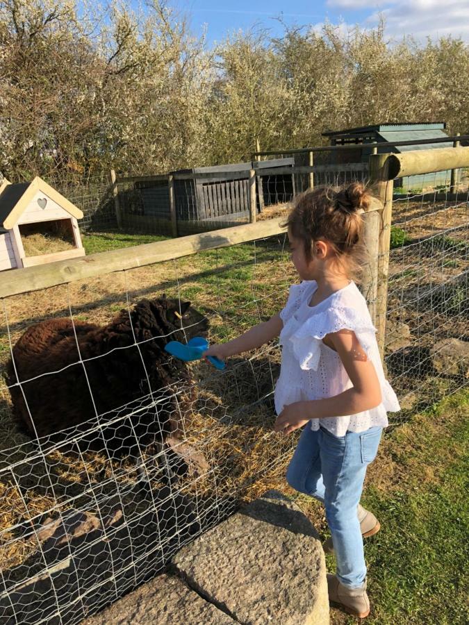 Willow Court Farm Studio South & Petting Farm, 8 Mins From Legoland & Windsor, 15 Mins From Lapland Uk Экстерьер фото